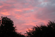 Ein Sonnenuntergang in Borssum